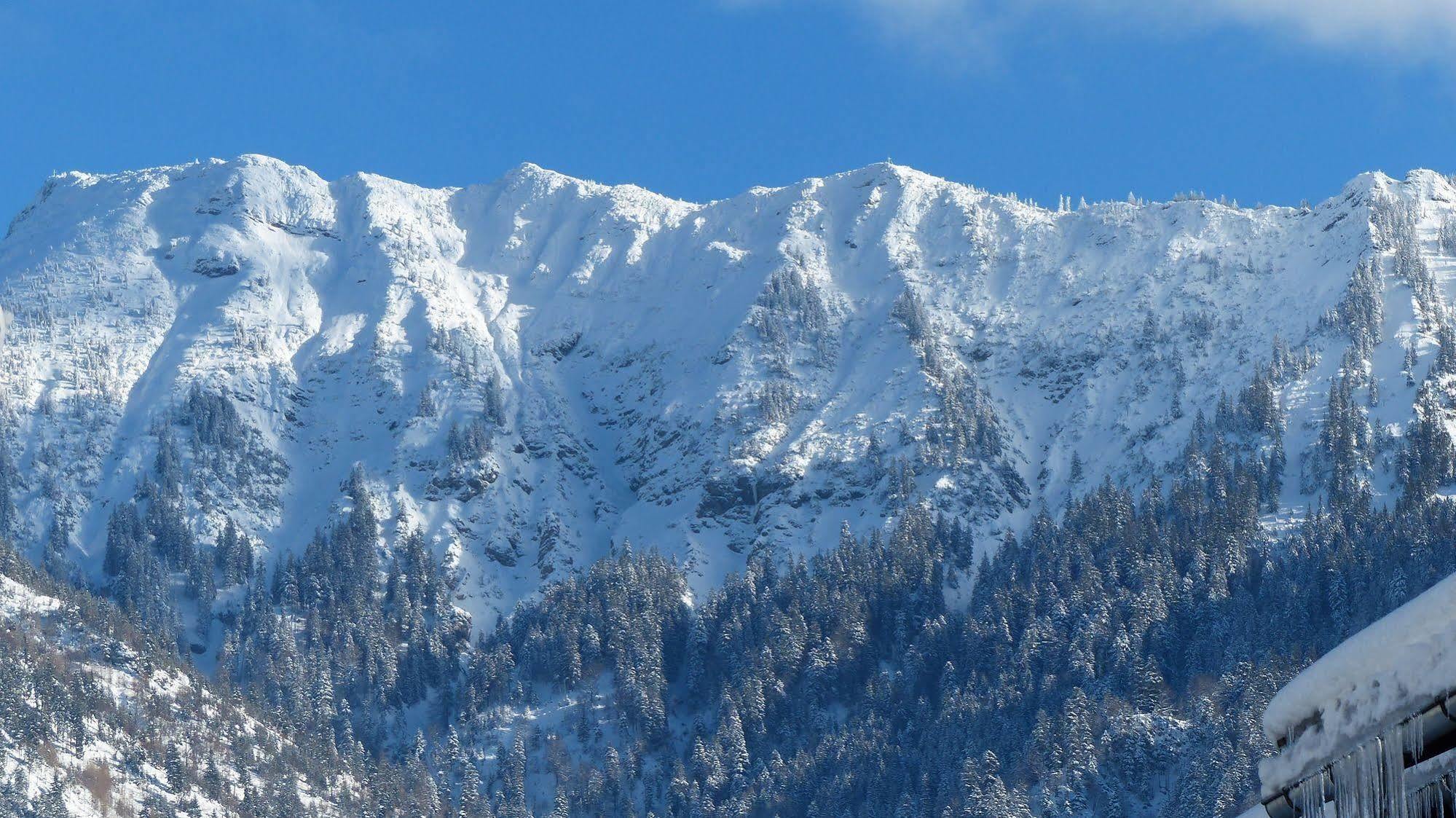 Hotel Restaurant Amadeus - Inclusive Skipass Und Vieles Mehr Bad Hindelang Exteriér fotografie